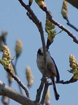 f0248120_22551569.jpg
