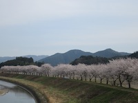 f0147922_7555570.jpg