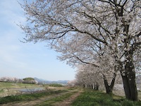 f0147922_7561466.jpg