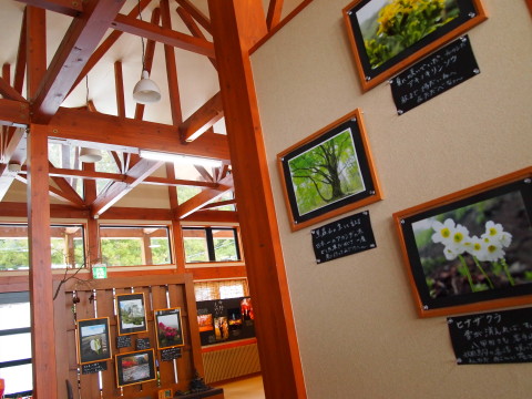 b0147224_21321688.jpg