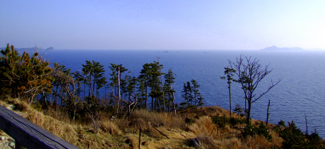 「隠岐（島後）　島後いろいろ。那久岬、隠岐相撲」_a0000029_0361285.jpg
