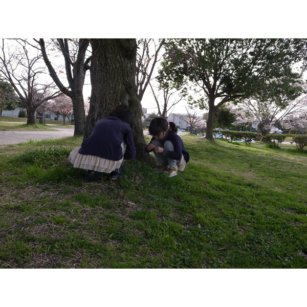 春休み奈良へ行く『平城京・大極殿』編_e0131432_9204963.jpg