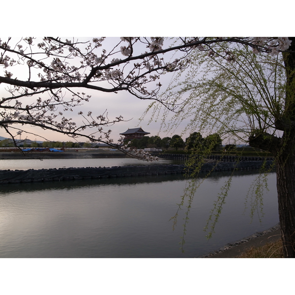 春休み奈良へ行く『平城京・大極殿』編_e0131432_921247.jpg