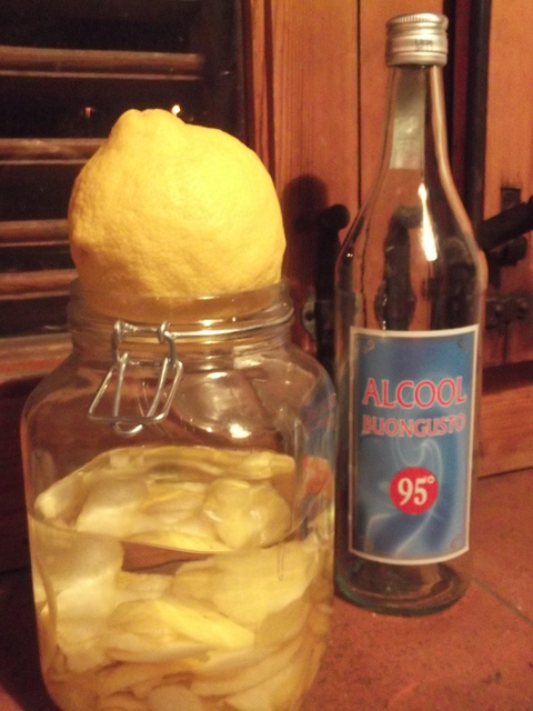 Limoncello_d0228833_6595722.jpg