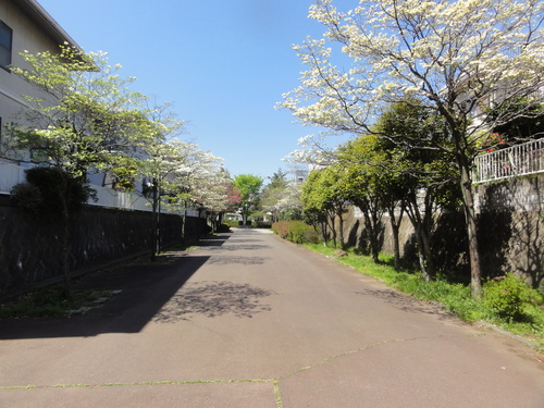 春の陽気の下（4月8日、月）_c0147935_2212815.jpg