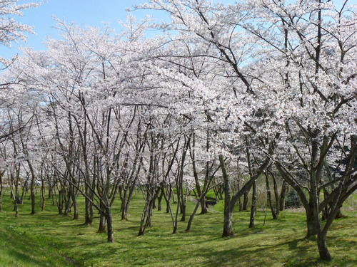 a0053036_15123057.jpg