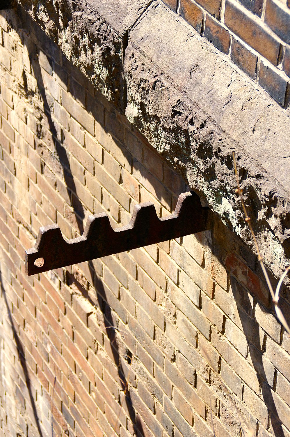 b0212342_7432477.jpg