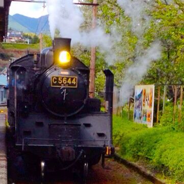 大井川鉄道 お座敷列車_e0292546_0483988.jpg