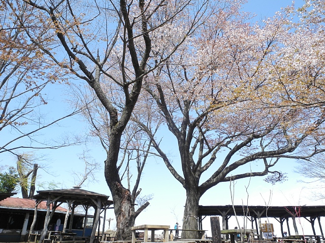 b0122448_20473669.jpg