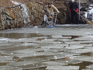 天然氷のかき氷 GWからはじめます!!_a0221457_17265952.jpg