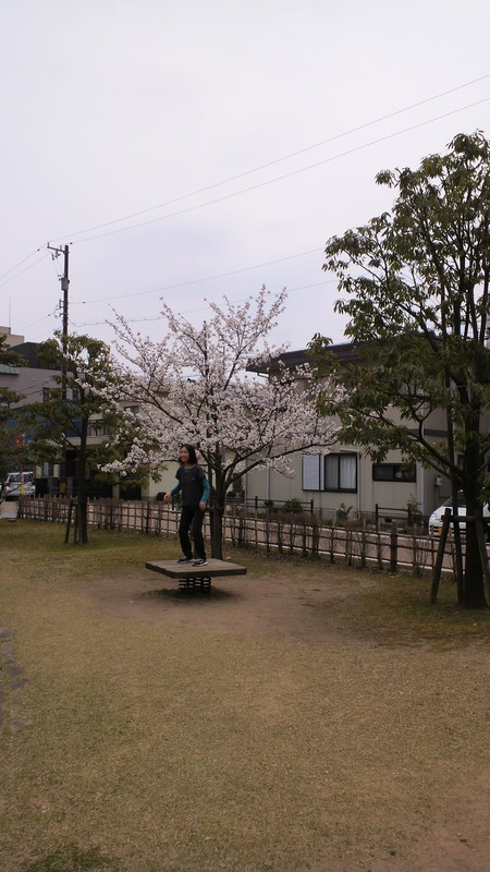 c0223458_2032427.jpg