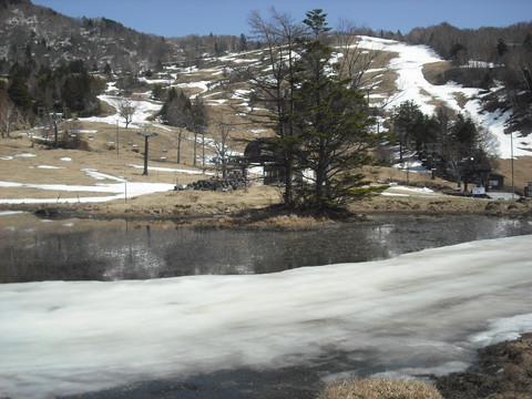 牧場の斑雪（はだらゆき）_e0181160_12525474.jpg