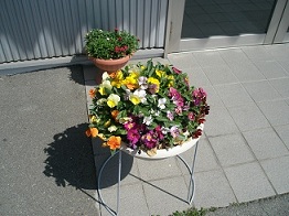 いきいき生活支援センターです_e0317561_13173975.jpg