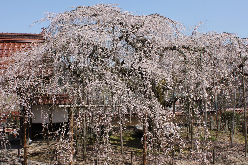 圓立寺_a0183666_19505292.jpg