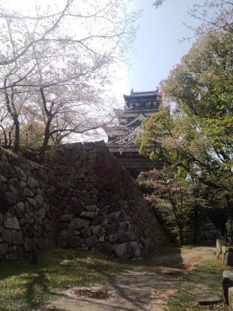a0160571_0975.jpg