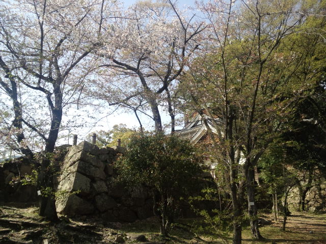 広島城 散歩記_a0160571_1133150.jpg