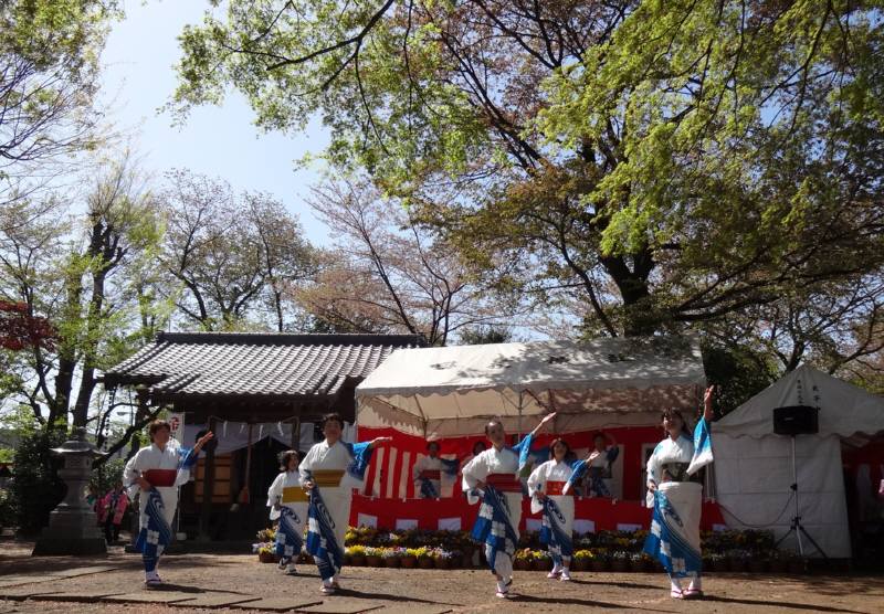 小学校入学式と日枝神社祭礼_f0059673_5574374.jpg