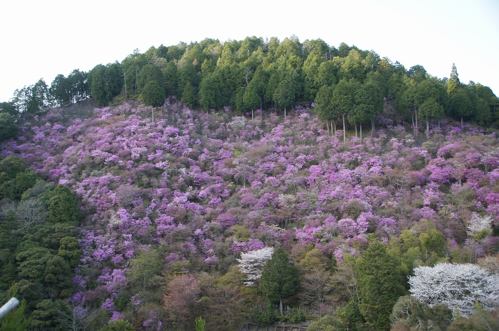 2013春　前線通過後の京北町点描＆常照皇寺（その２）_a0206577_1514226.jpg