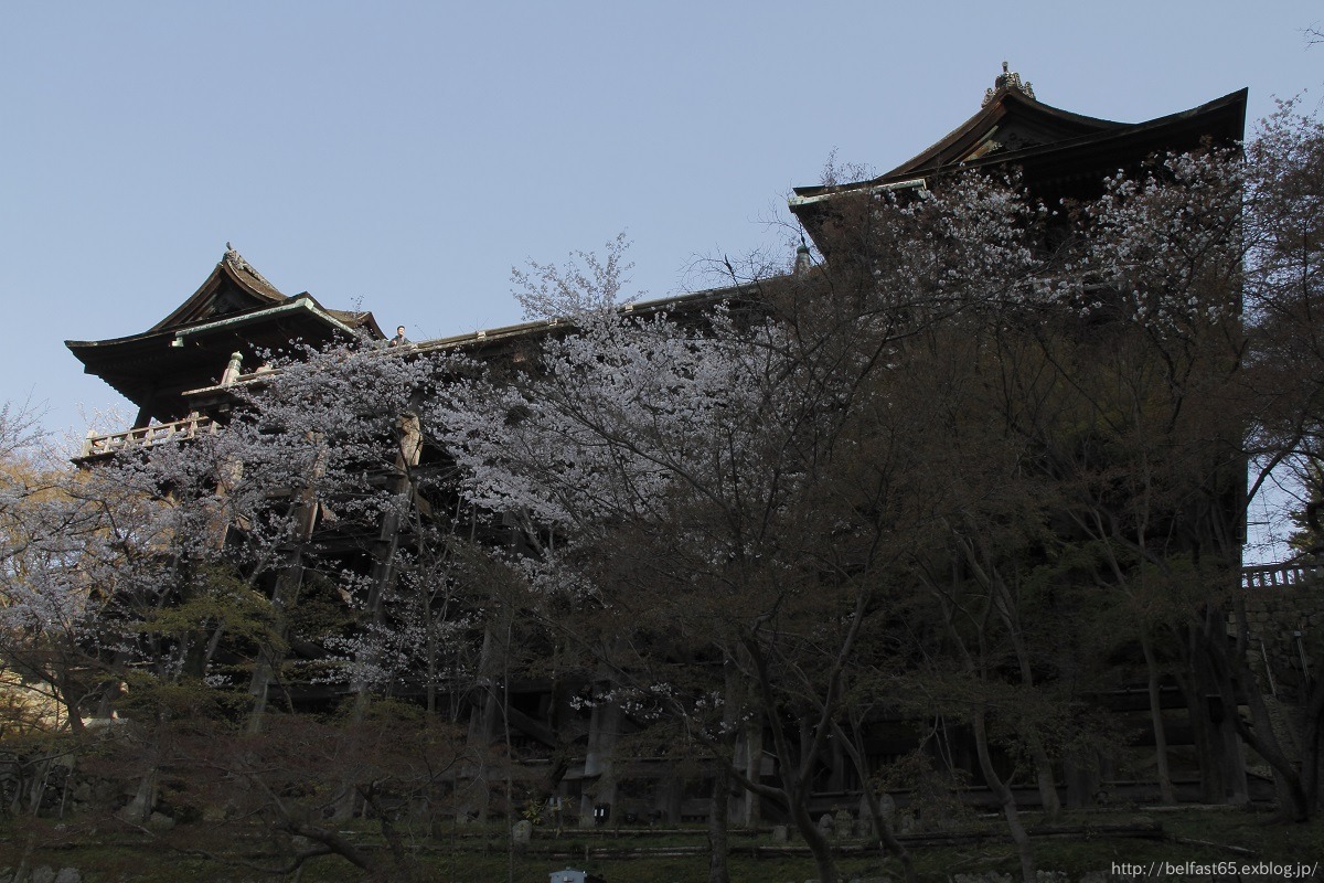 さくら・清水寺_f0095094_22342235.jpg