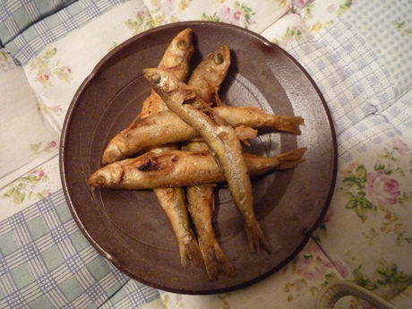 f0250403_13803.jpg