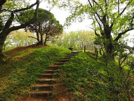 六国見山のオロチ桜こと｢夫婦桜｣を探して(2013.04.10)_e0245404_21164863.jpg