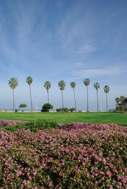 f0038904_224431100.jpg