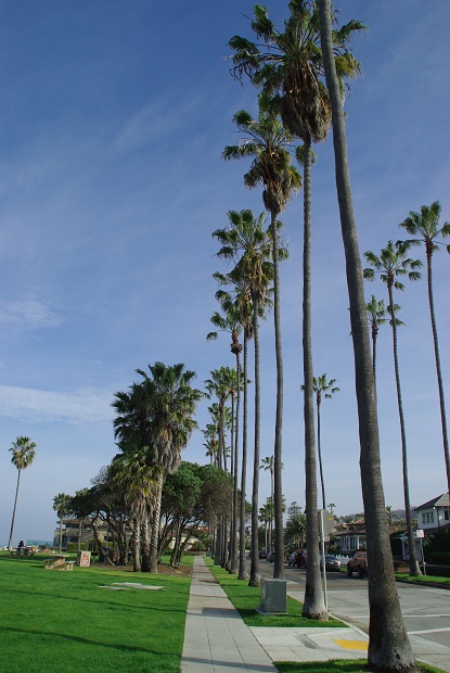 f0038904_224452100.jpg