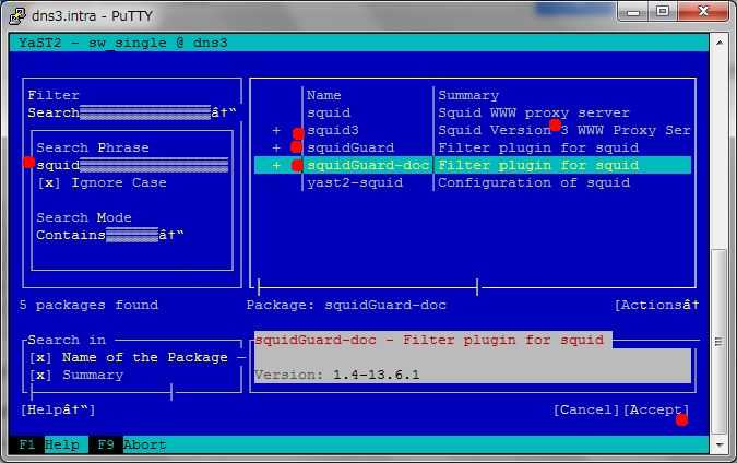 SUSE 11 で Squid3 を導入、設定_a0056607_18382847.jpg