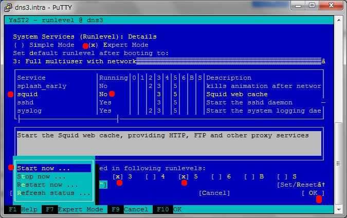 SUSE 11 で Squid3 を導入、設定_a0056607_18474751.jpg