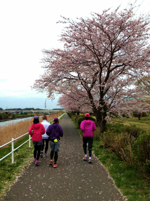 花見川で花見ラン_a0036808_17325229.jpg