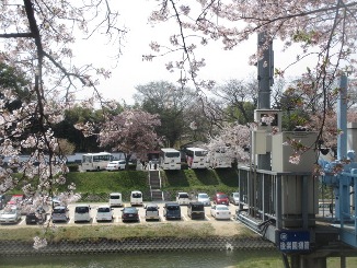 まだまだ・・・桜前線を追いかけて?!_d0091909_10562865.jpg