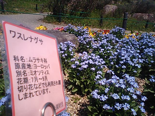 f0231709_9105741.jpg
