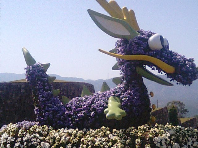 f0231709_961322.jpg