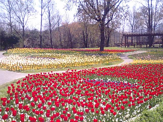 f0231709_963478.jpg