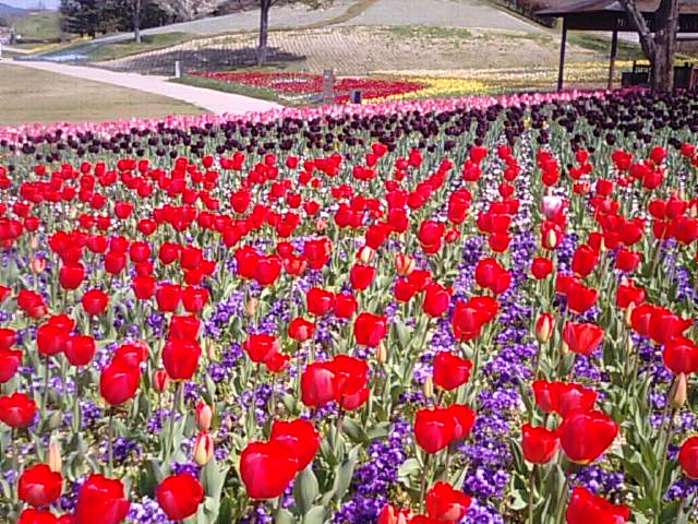 f0231709_972241.jpg