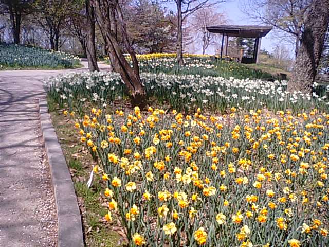 f0231709_995044.jpg