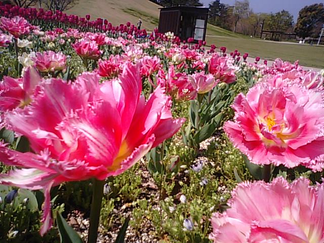 f0231709_99741.jpg