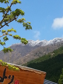 f0190020_1783666.jpg