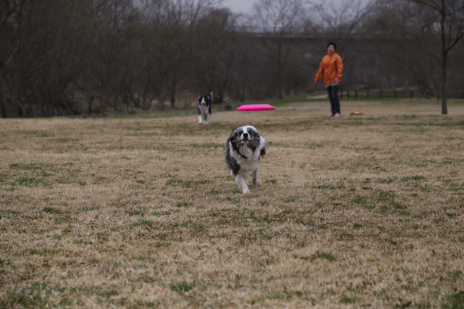 b0192121_18584535.gif