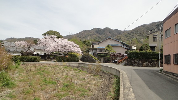 f0000521_91026.jpg