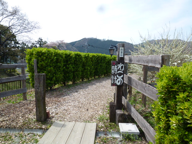 c0013922_20512181.jpg