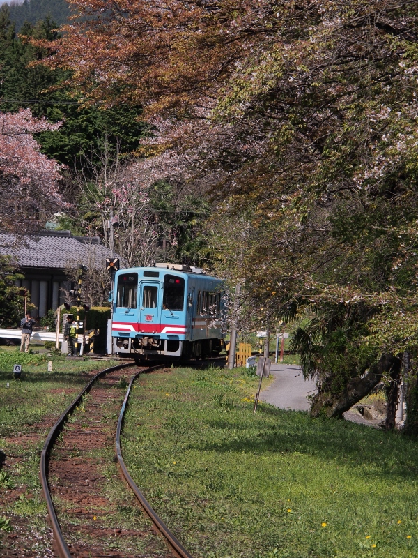 岐阜　樽見線　谷汲口駅_d0266327_14532039.jpg