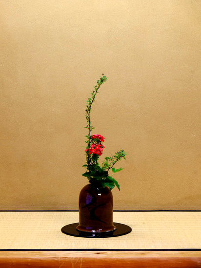 「嬉野温泉 大正屋椎葉山荘」_a0000029_20155696.jpg