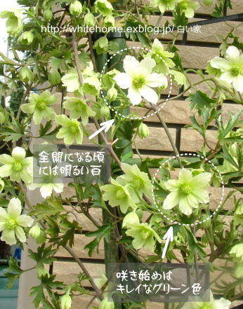 d0232840_167473.jpg