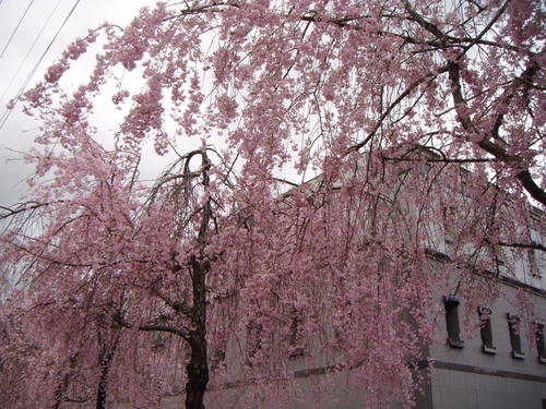 a0213742_7202267.jpg