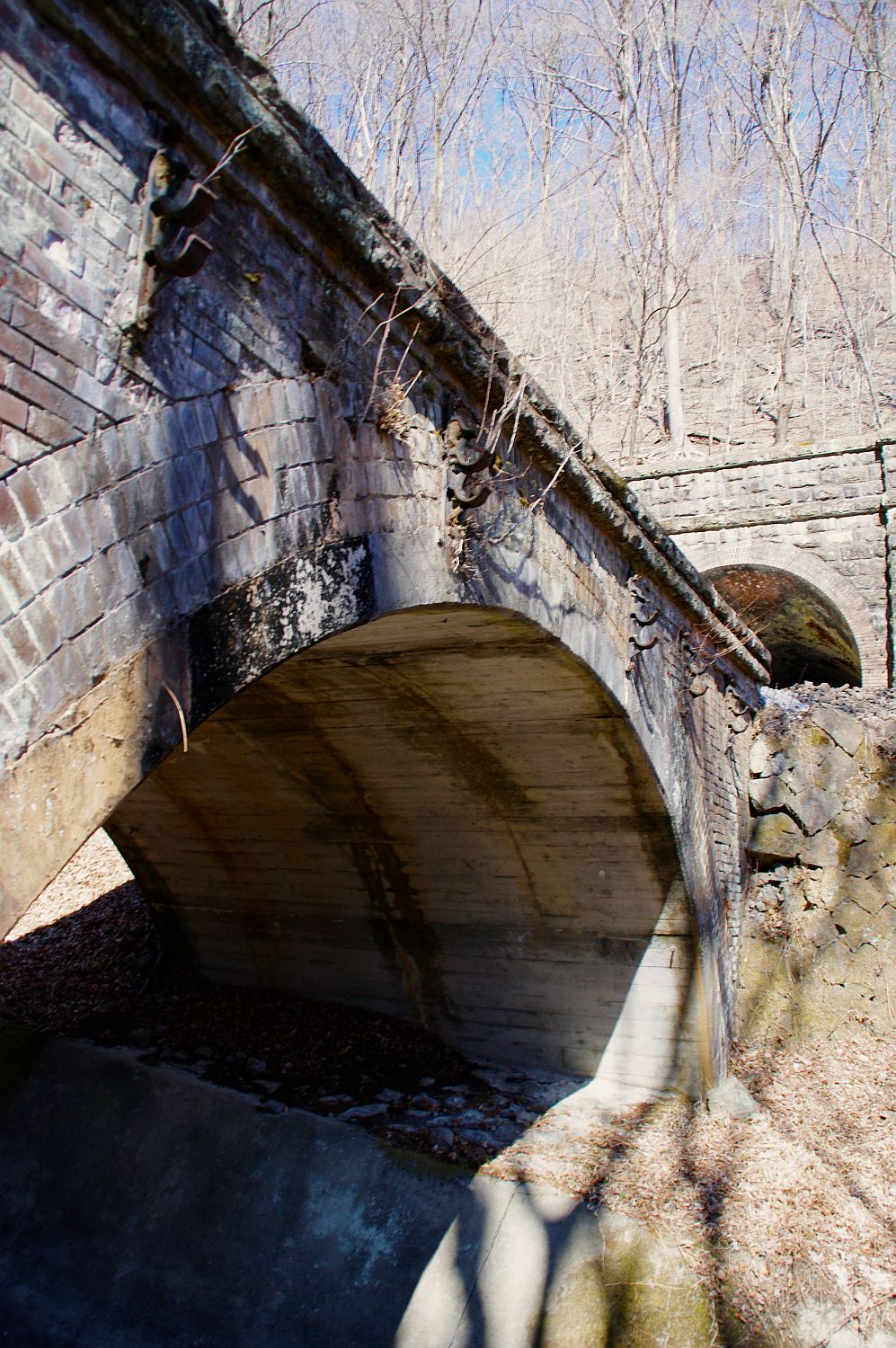b0212342_835114.jpg