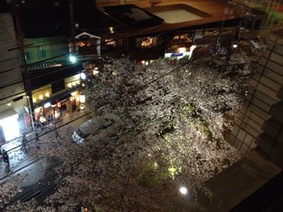 真上からの夜桜…  木屋町kilnにて~_d0221844_2161351.jpg