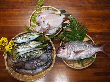 入学_e0010955_8581360.jpg