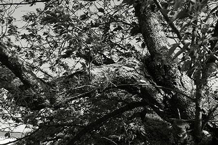 b0087456_9452842.jpg