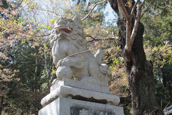 e0316056_031157.jpg